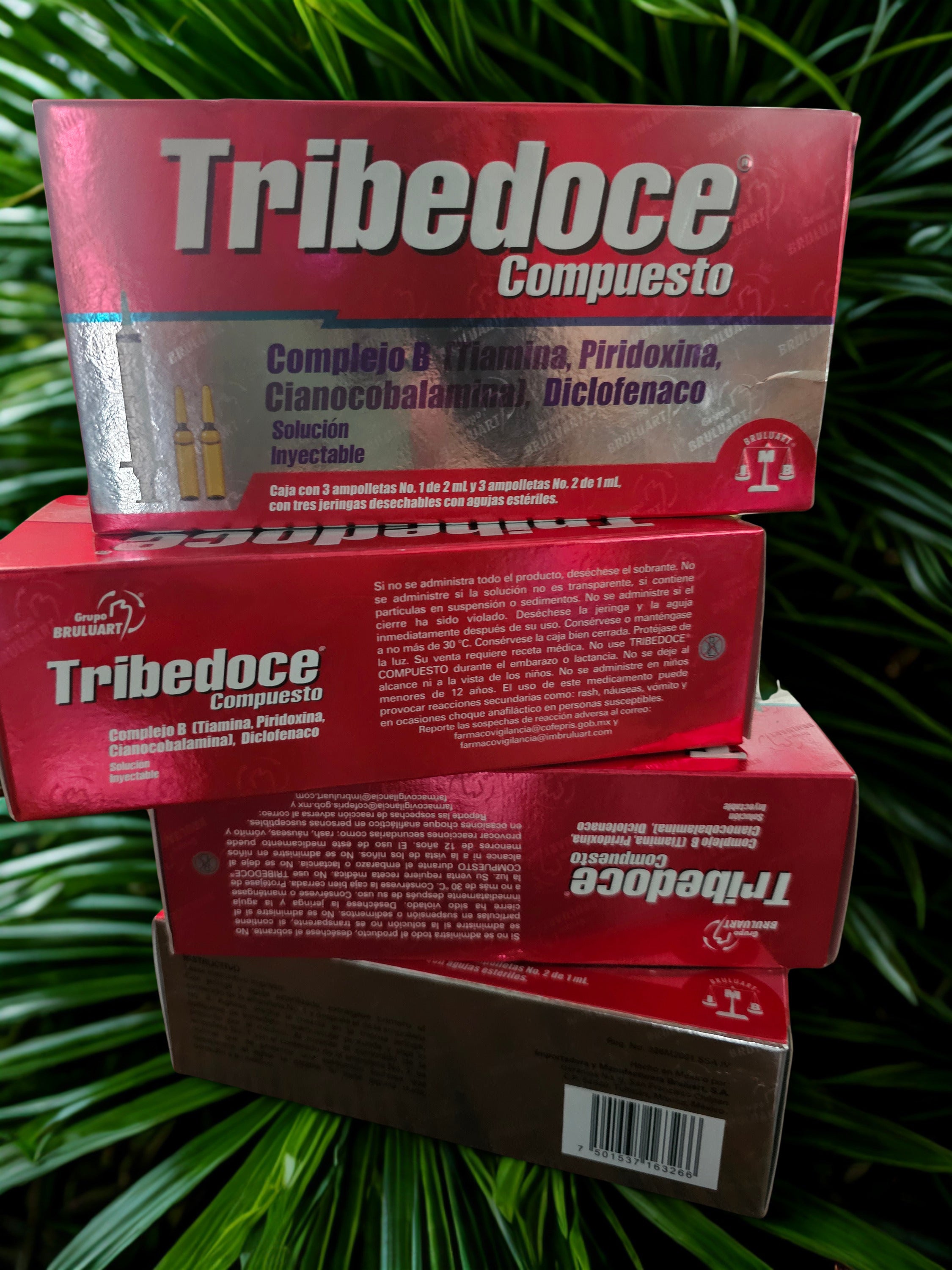 B12 tribedoce