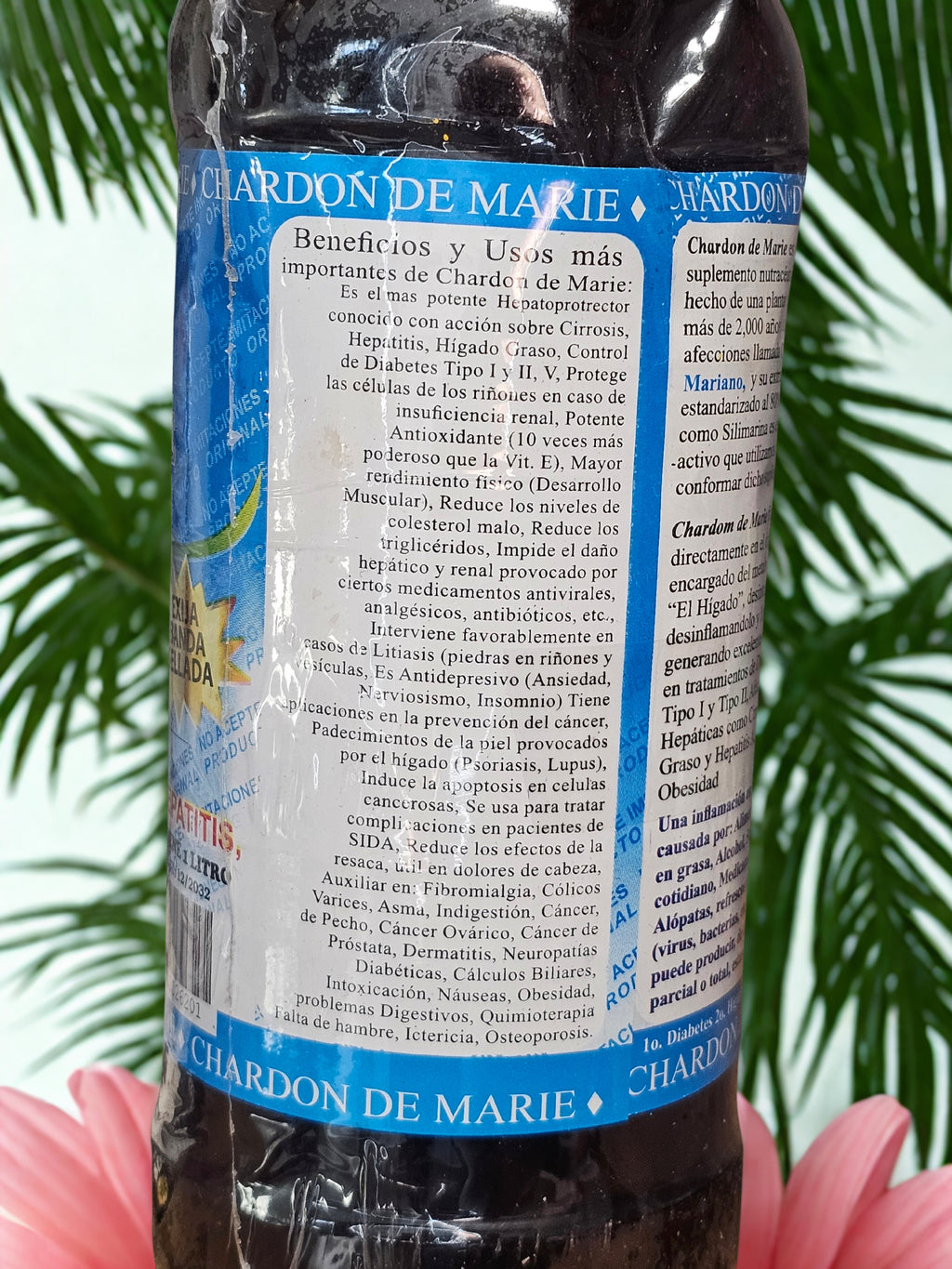 Chardon de Marie – Natural Liver Support and Detox